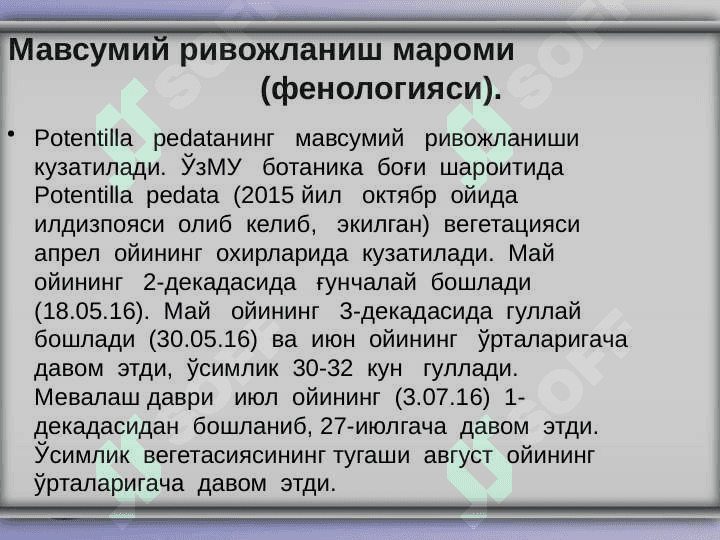 “Potentilla  pedata  ўсимлигининг  биологиясини   ўрганиш” 8