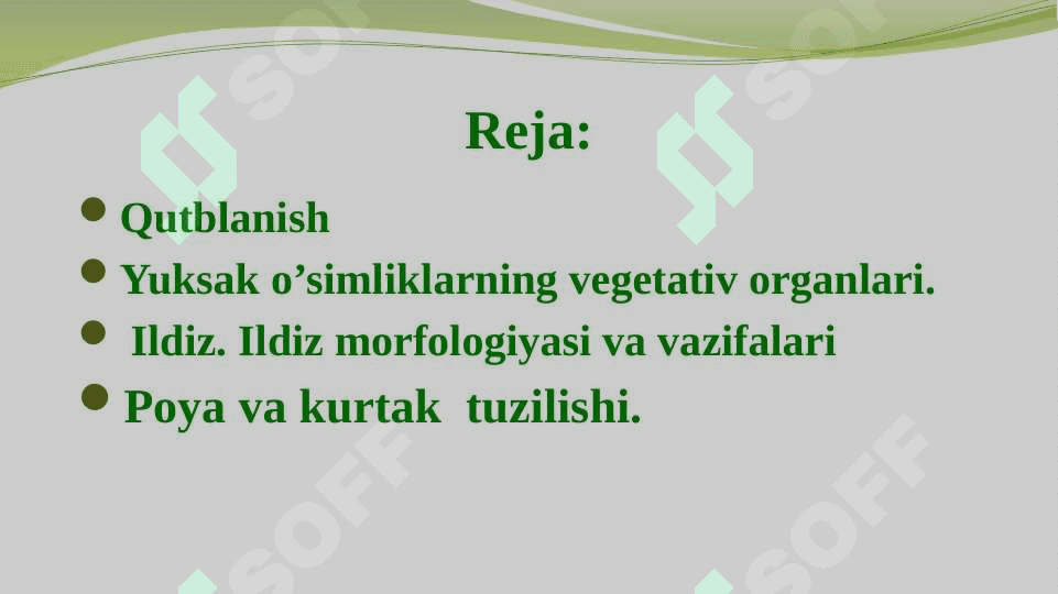 Qutblanish, yuksak o‘simliklarni vegetativ organlari: ildiz, poya va kurtak  tuzilishi. 2