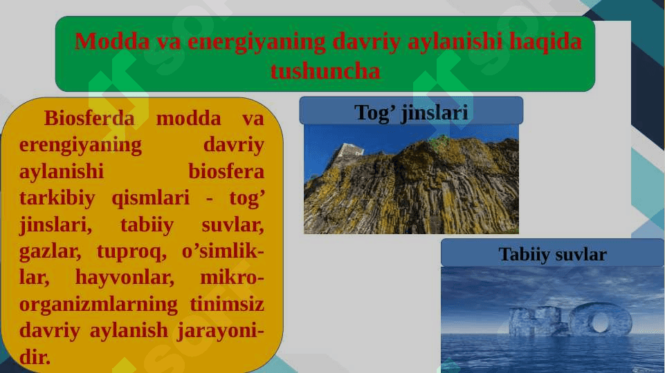 BIOSFERADA MODDA VA ENERGIYANING DAVRIY AYLANISHI 3