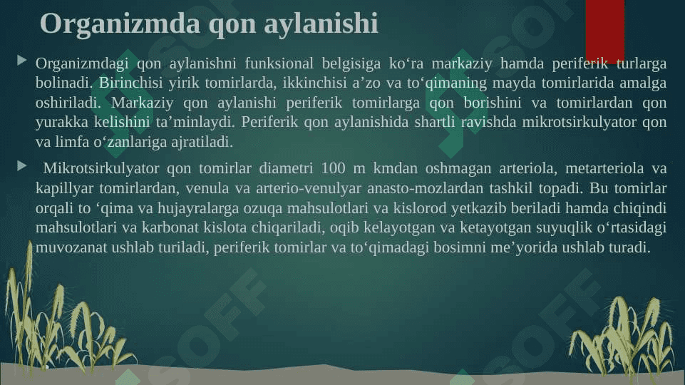 REGIONAR MIKROTSIRKULYATSIYANING BUZILISHLARI 3