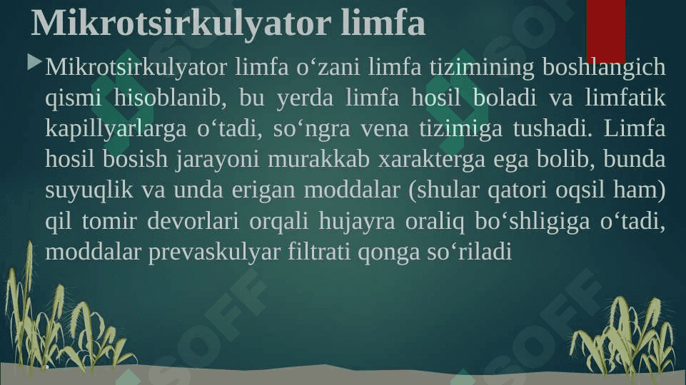 REGIONAR MIKROTSIRKULYATSIYANING BUZILISHLARI 4