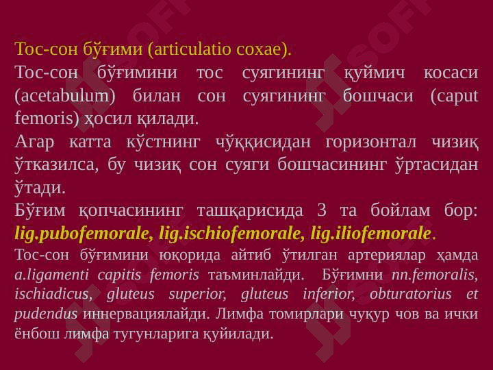 ОЁҚНИНГ ТОПОГРАФИК АНАТОМИЯСИ 3