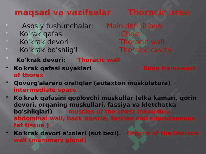 Кўкрак соҳасининг клиник анатомияси.pptx 3