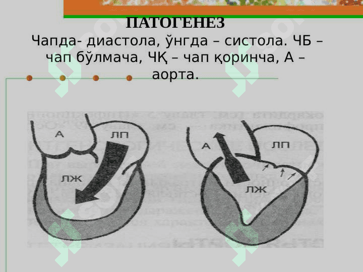 АОРТАЛ ИЛЛАТЛАР. 5