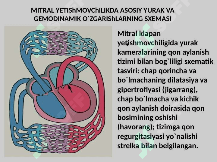 YURAK ORTTIRILGAN NUQSONLARI. 7