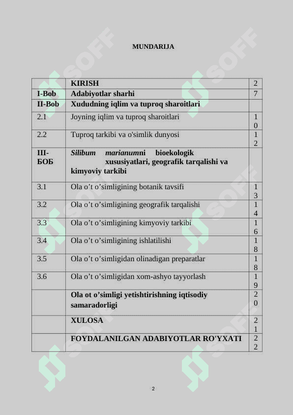 Ola o’t (Silibum marianum) o’simligi xom-ashyosini tayyorlash va dastlabki qayta ishlash texnologiyasi 2