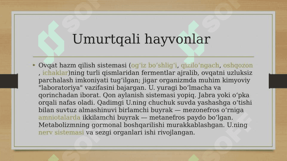 Umurtqali hayvonlarning ayirish organlarining tuzilishi va evolutsiyasi. 5