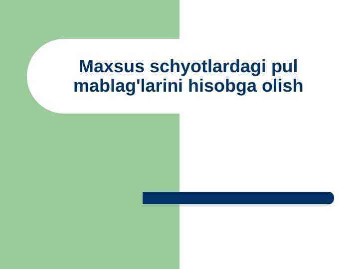 maxsus schyotlardagi pul mablag'larini hisobga olish 1