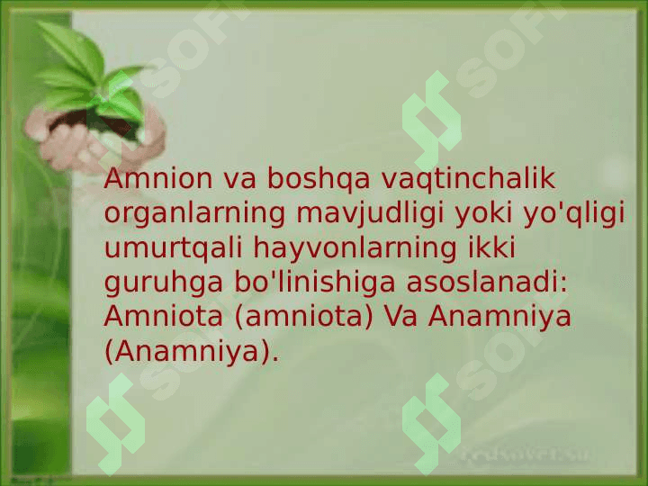 Anamniya va amniotlarning morfologik, fiziologik belgilari: rivojlanishi, tuxumining tuzilishi, murtak qobig'ining hosil bo'lishi 2
