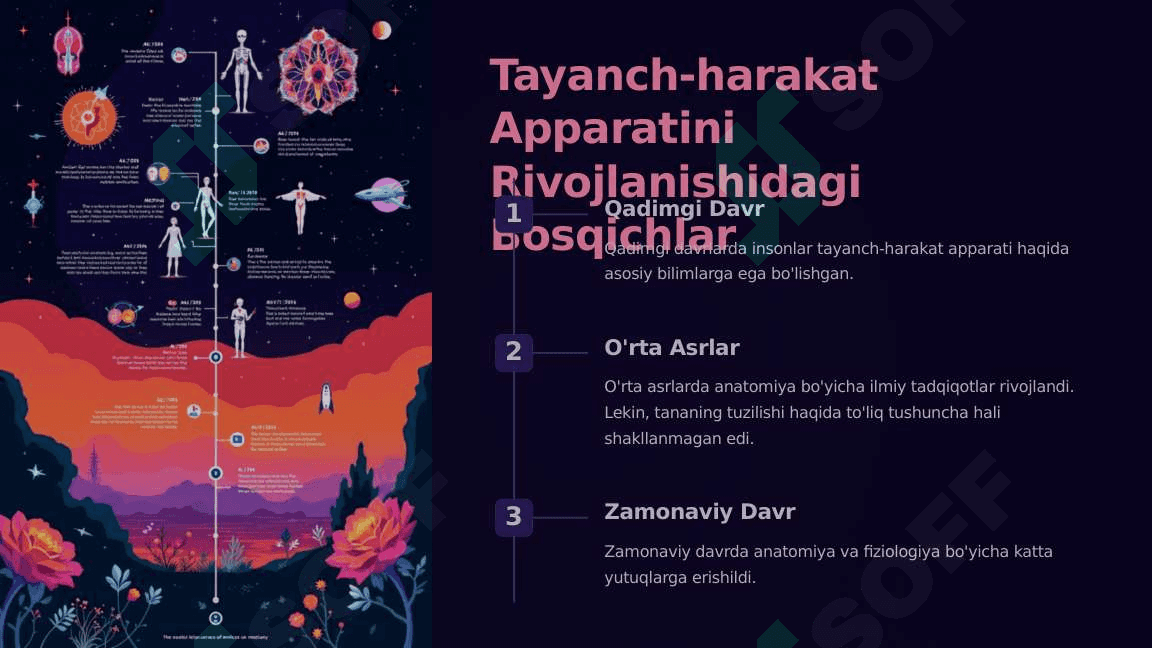 Tayanch-harakat apparatini rivojlanishini o'rganishda O'zbekiston olimlarining xizmatlari 4