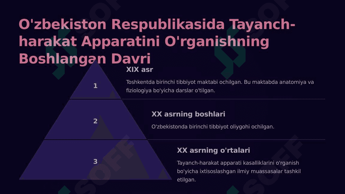 Tayanch-harakat apparatini rivojlanishini o'rganishda O'zbekiston olimlarining xizmatlari 6