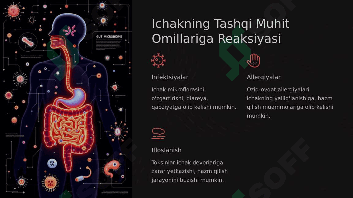 Taloq, ichak va jigar tashqi muhit omillarining ta'siri 8