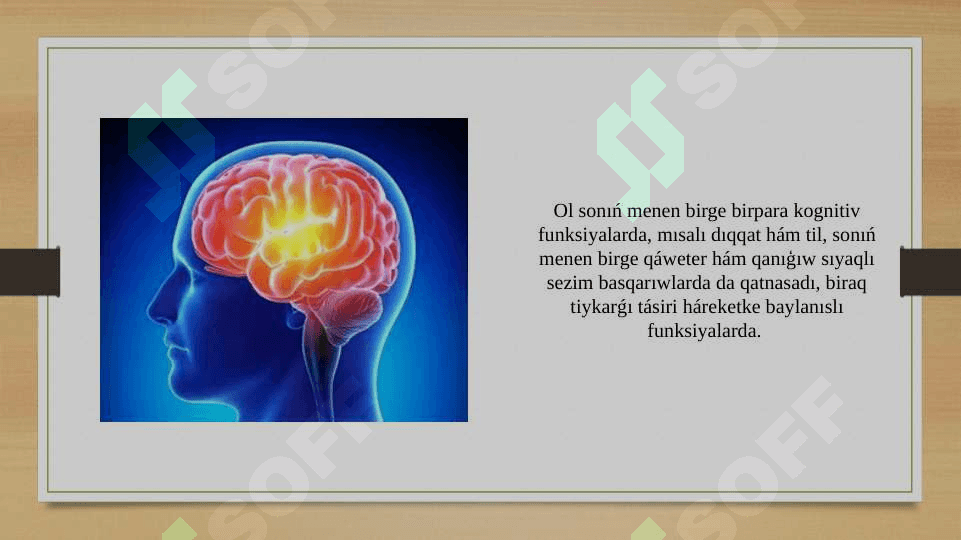 Miy iskerligi. Ataksiya 3