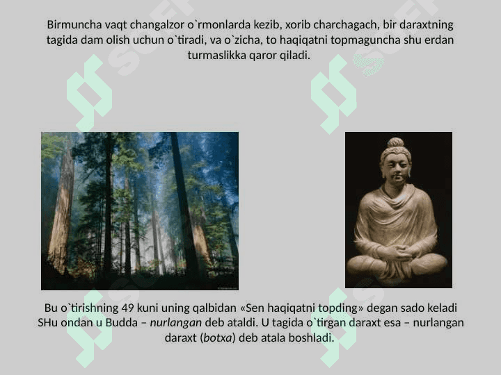 Buddaviylik asoschisining shaxsi 8