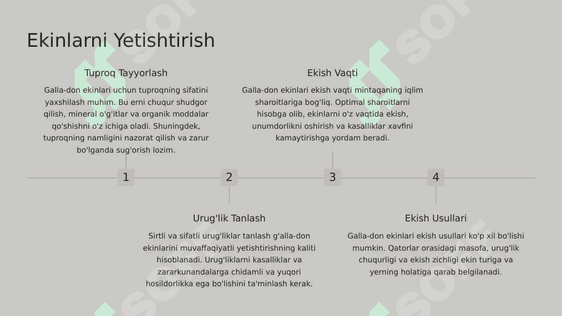 Galla-don ekinlarida dala tajribasi 8