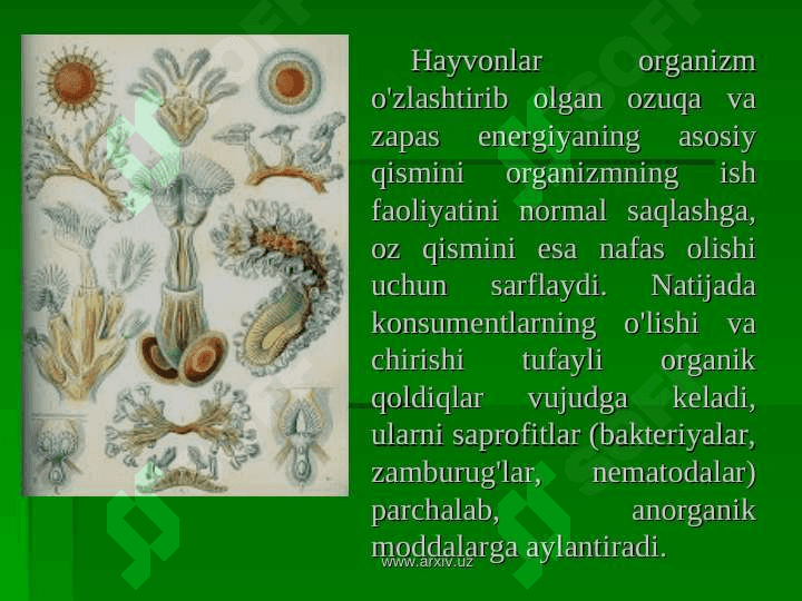Hayvonlar vao'imliklarning o'zaro bog'liqligi 6