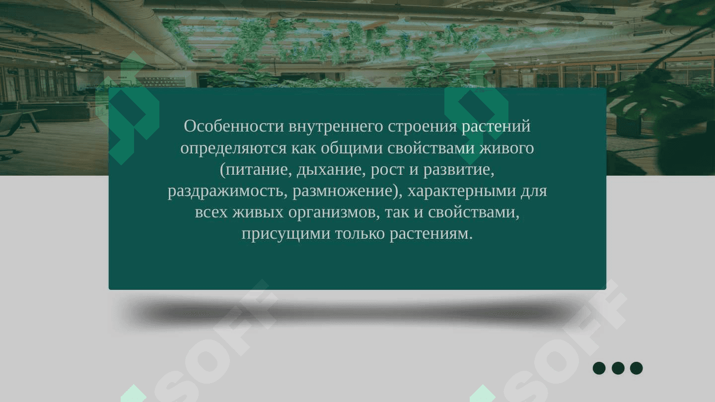 Анатомии растение 3