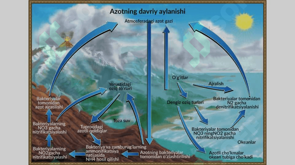 EKOTIZIMDA ELEMENTLARNING AYLANISHI 4
