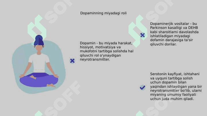 Dofamin va dofaminergik vositalar. Serotonin va ko'rsatish 4