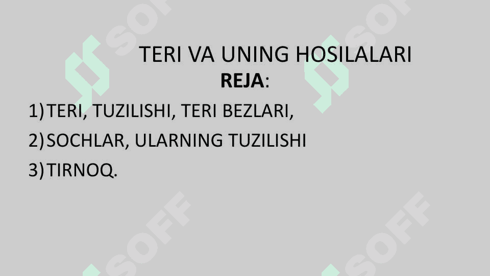 Gistalogiya teri va uning hosilalari 2