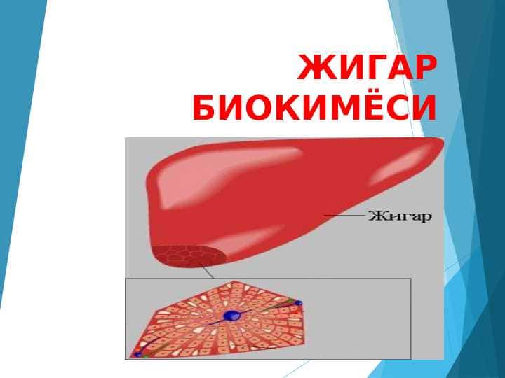 Jigar biokimyosi ppt 1