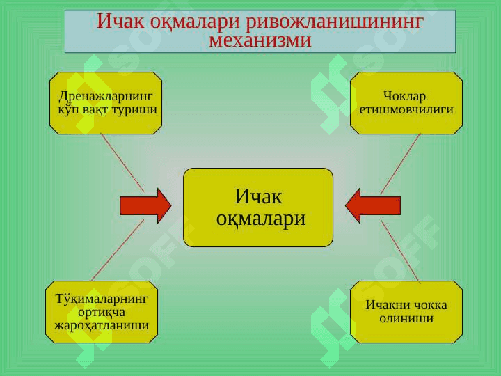Ichak oqmalari ppt 3