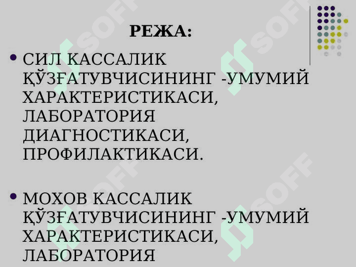 Sil va moxov ppt 2