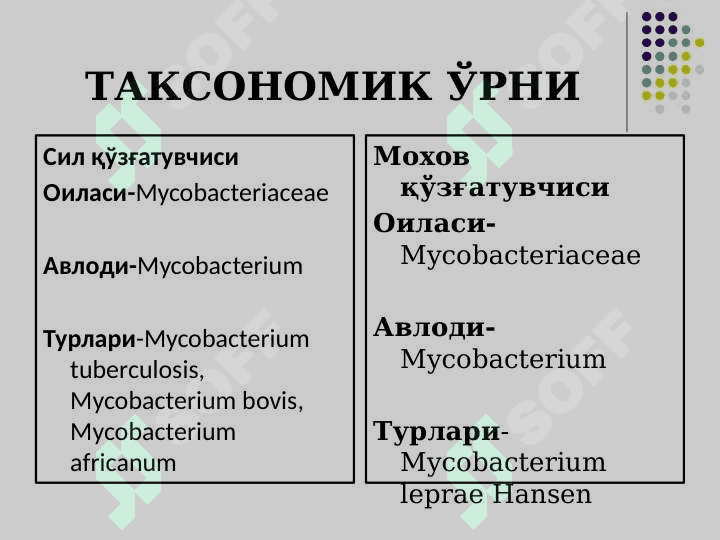 Sil va moxov ppt 3