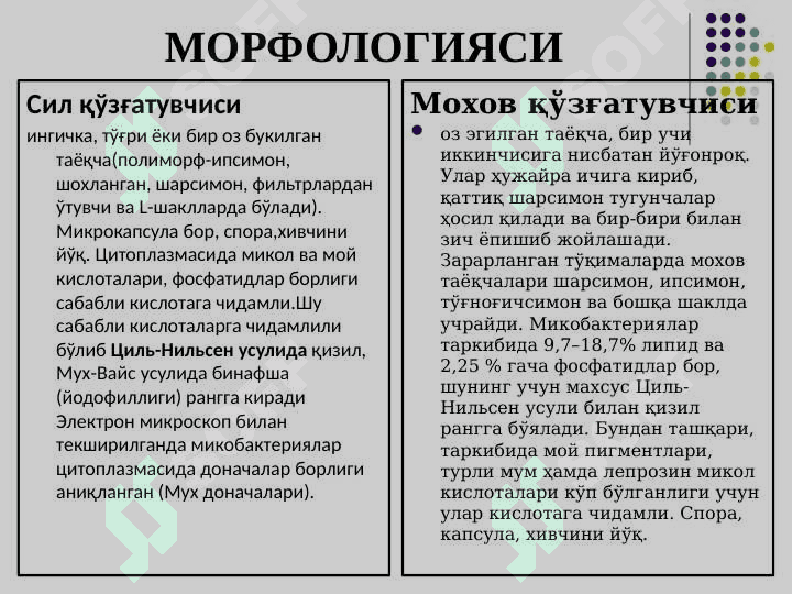 Sil va moxov ppt 4