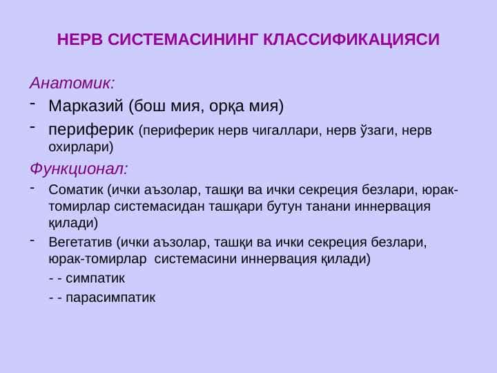 Nerv sistemasi ppt 1