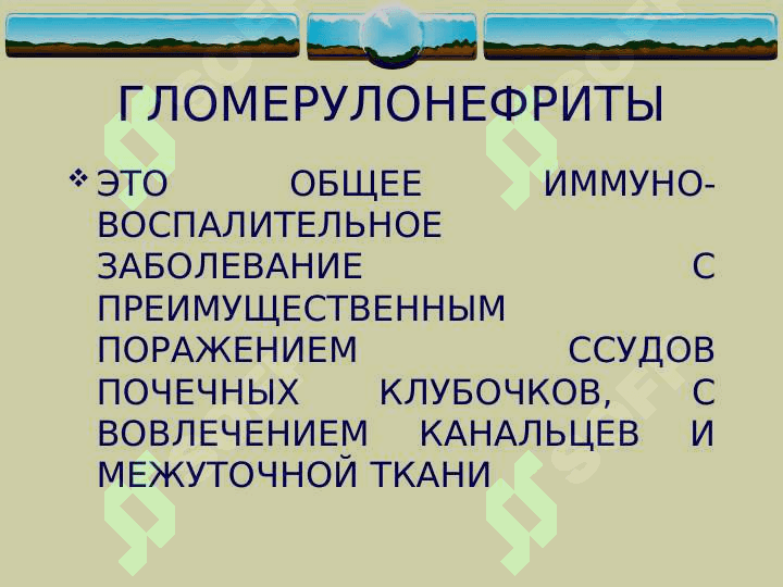 Glamerunefrit  (rus)ppt 2