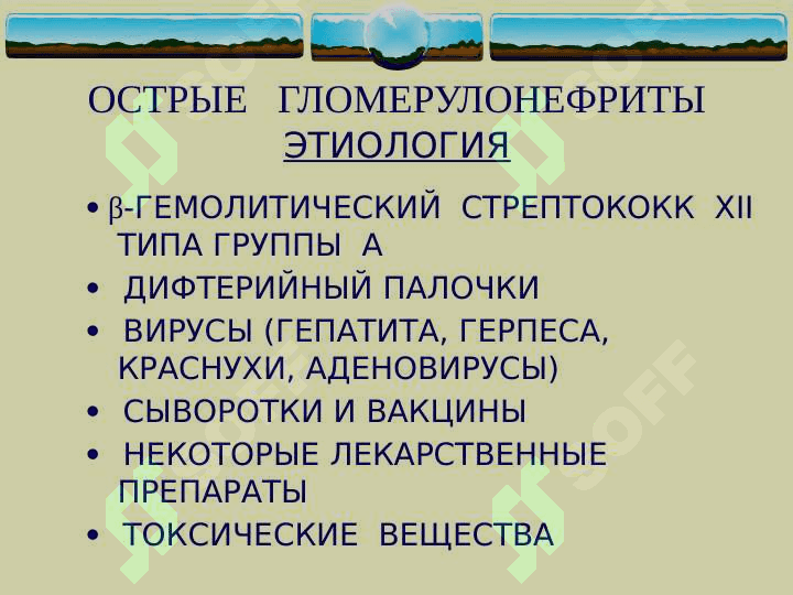 Glamerunefrit  (rus)ppt 8