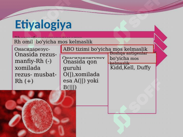 Chaqaloq gemolitik kasalliklari ppt 6