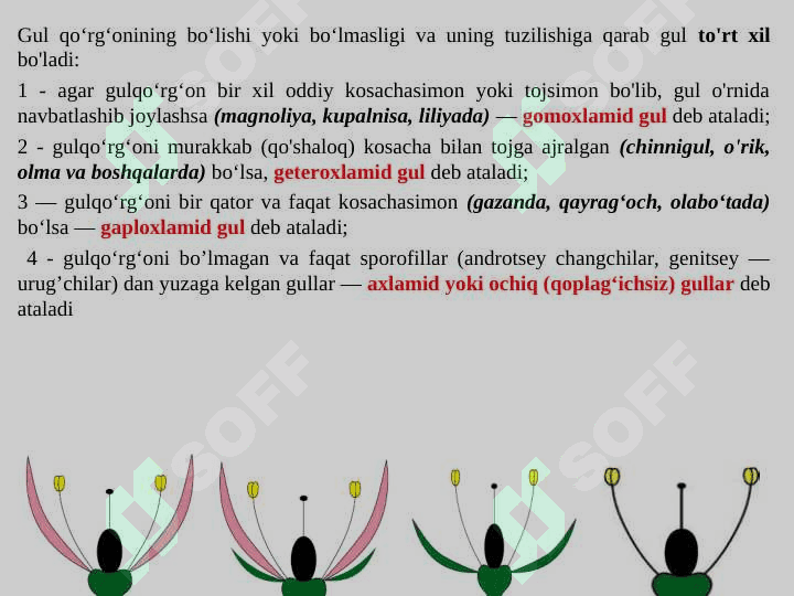 Gulning tuzilishi, tiplari va vazifasi. 4