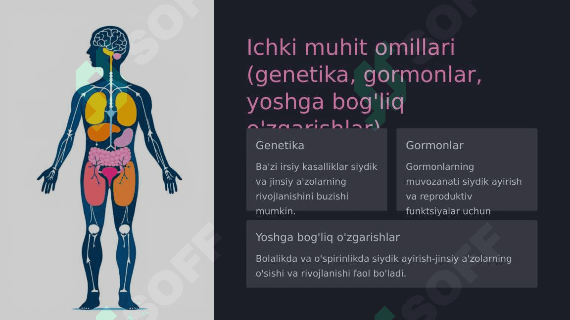 Siydik ayirish-jinsiy a'zolari taraqqiyotiga tashqi muhit omillarining ta'siri 5