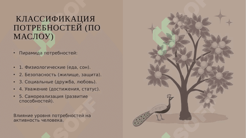 Потребности как источник активности 4
