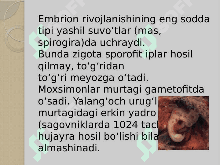 Embrion  hujayralarining  differensatsiyallanish xossalari 3