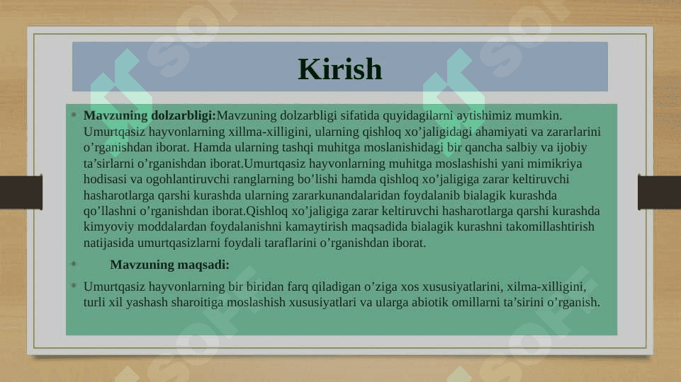 Umurtqasiz hayvonlarni xilma-xilligi turli xil muhitda yashashga moslashganligi natijasi 3