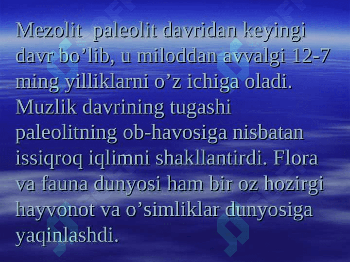 Mezolit 7
