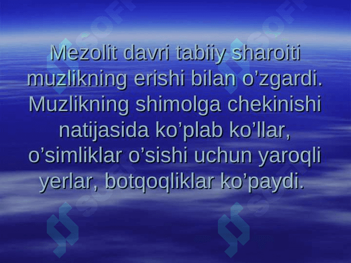 Mezolit 8