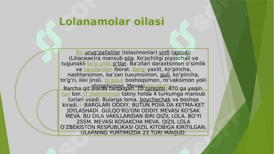 Bir urug’ pallali o’simliklar 5