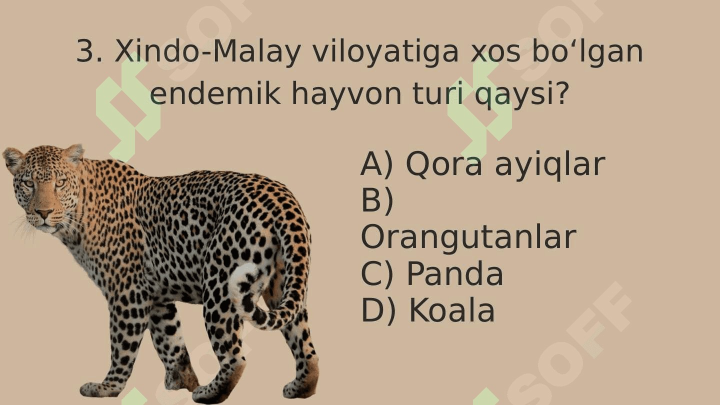 Xindo-Malay zoogeografik viloyati 4