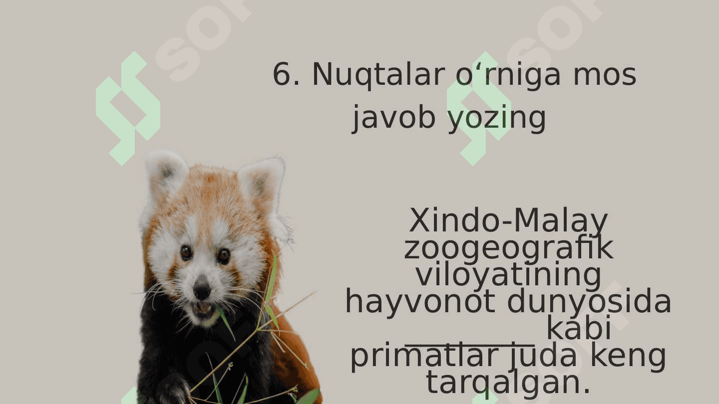 Xindo-Malay zoogeografik viloyati 7