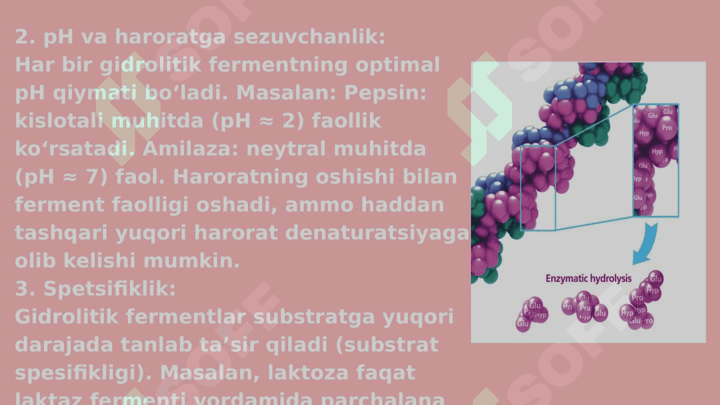 Gidrolitik fermentlar 6