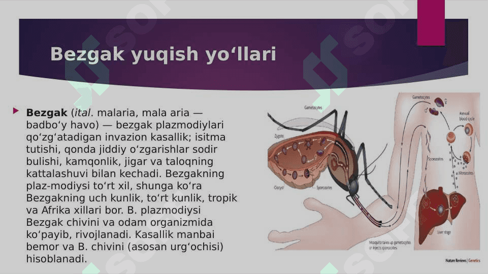Bezgakga qarshi dori vositalari 2