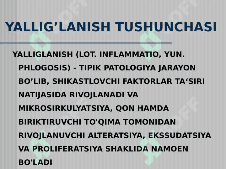 YALLIG’LANISH 3