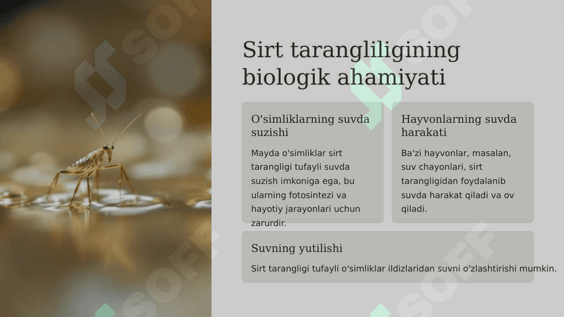 Suyuqliklarning sirt tarangligi. Havo va gaz emboliyasi 5