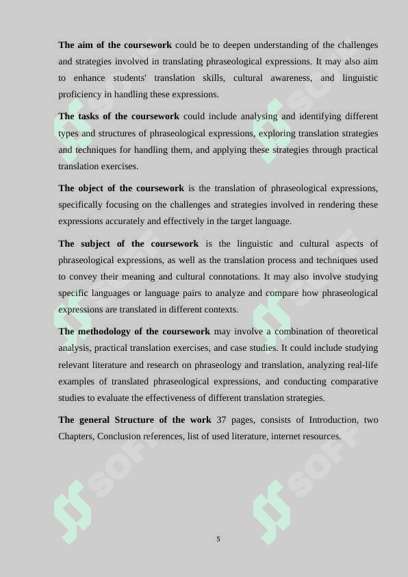 Translation of phraseological expressions 5