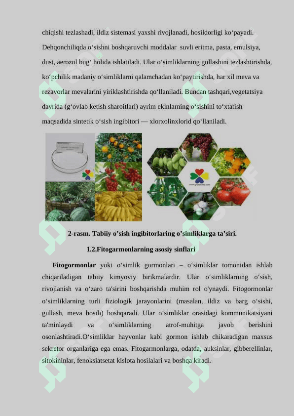 TABIIY O‘SISH INGIBITORLARI VA ULARNING    FIZIOLOGIK ROLI 6