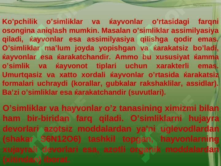 O'SIMLIKLARNING INSON HAYOTIDA TUTGAN O'RNI VA BIOSFERADAGI AHAMIYATI 5